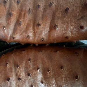 Men western Ostrich boots